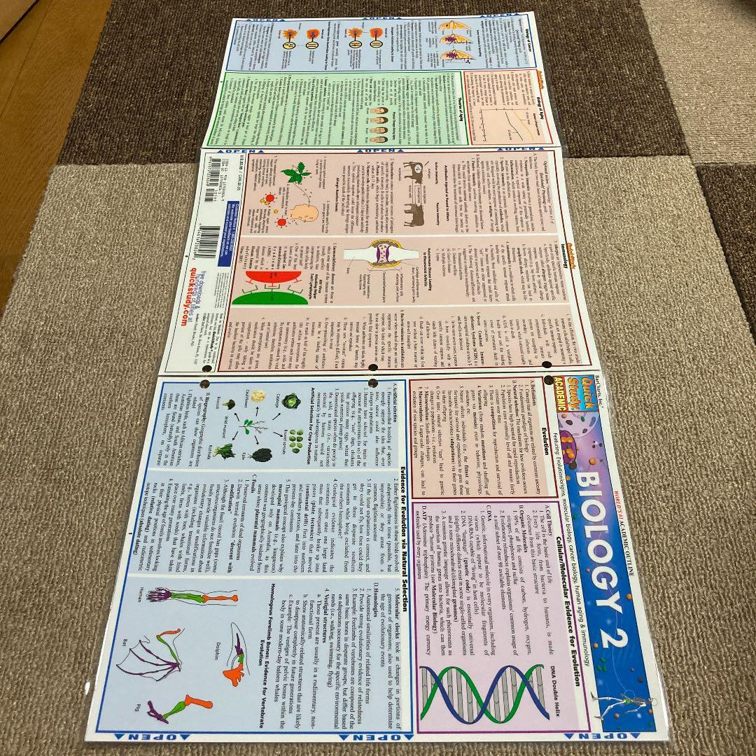 BIOLOGY２Quick Study ACADEMIC 生物学２