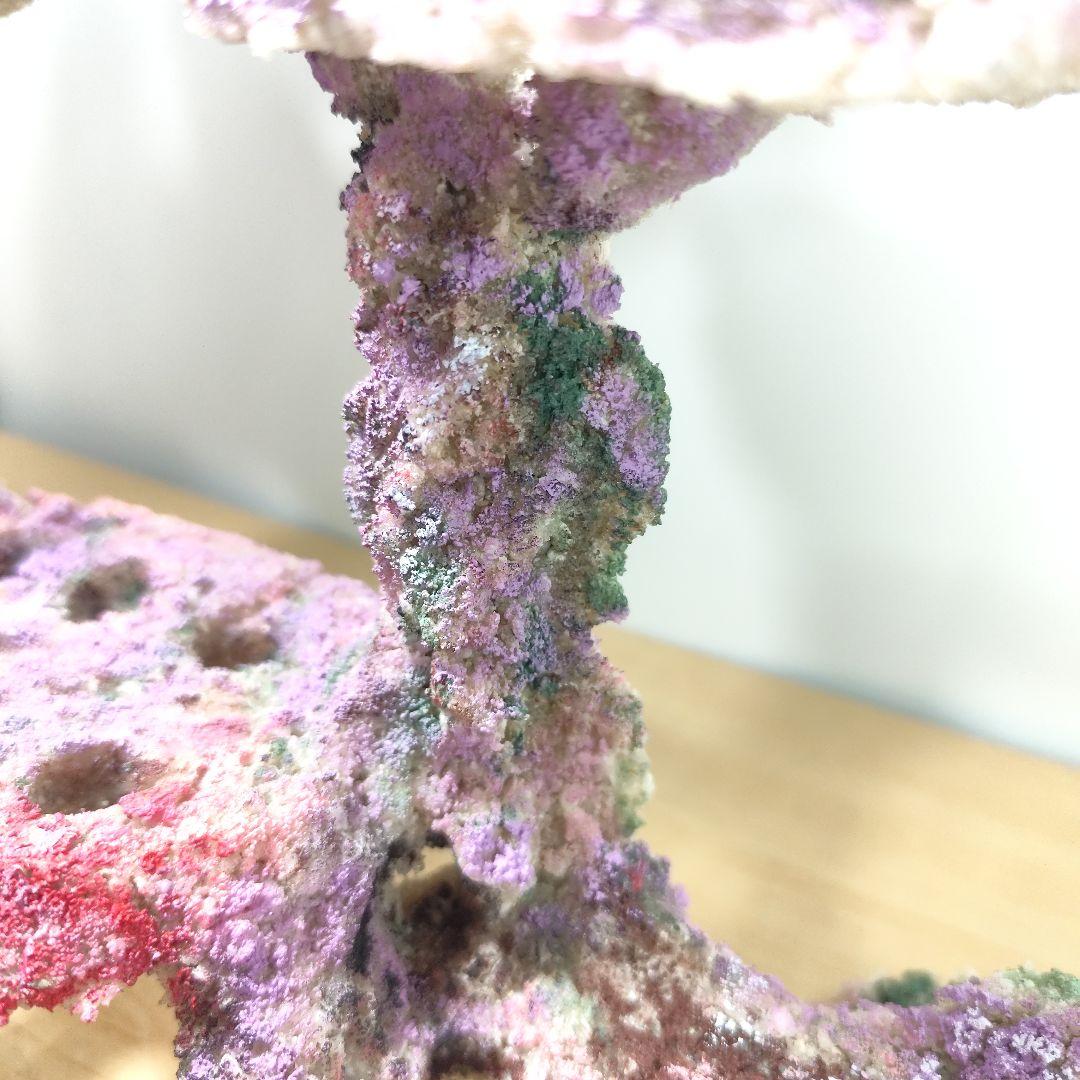 プラグ穴付き アク抜き不要人工ライブロック 海水水槽 レプリカ コーラルフラグ9