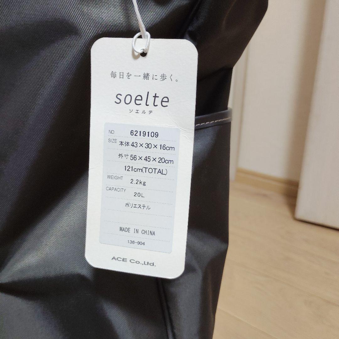 キャリーバッグ　ace soelte 20L