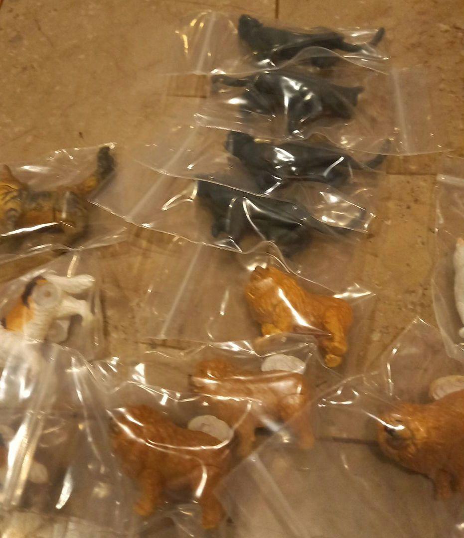 ★フルタ★チョコエッグ★ペット動物第3弾★13種36点★ダルメシアン多め