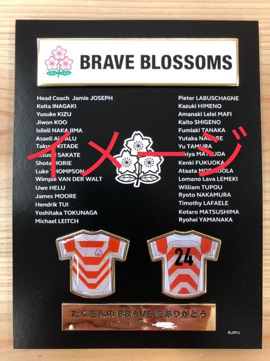 ラグビー日本代表　ピンバッチセット　〜たくさんのBRAVEをありがとう〜