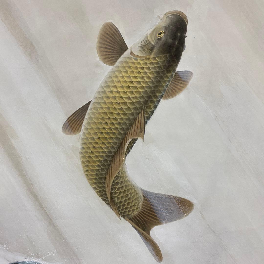 美品 掛け軸 前川聖牛作 大幅！昇鯉図 共箱 縁起物 真筆証明書