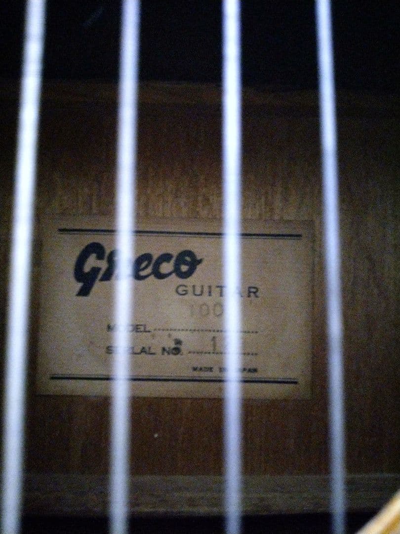 Greco アコースティックギター MODEL100