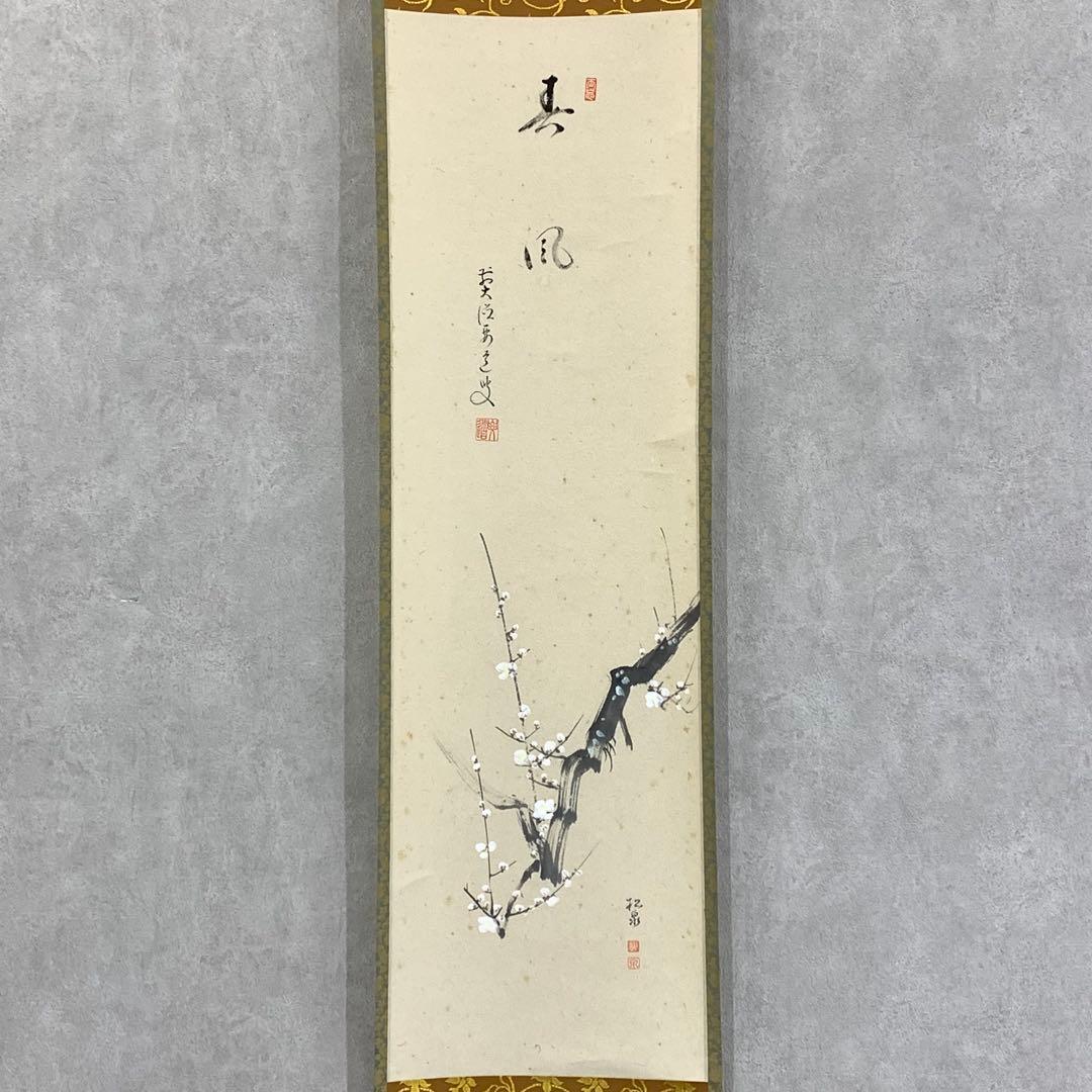 掛軸 雪尾要道 春風 共箱 画賛 白梅 春 茶掛 茶道具 6-31