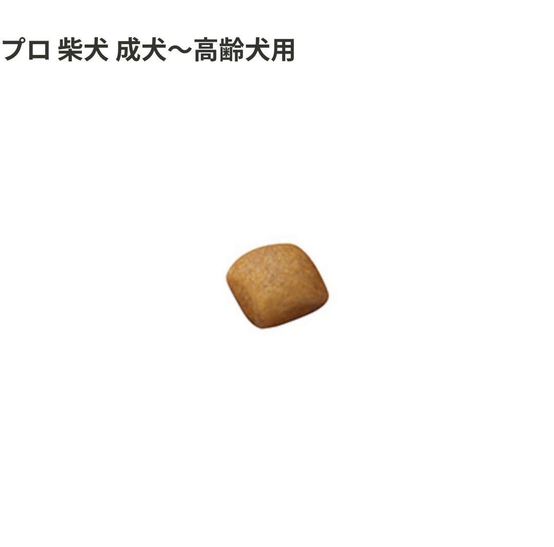 【翌日発送】ロイヤルカナン　柴犬　成犬〜高齢犬用　8kg×2袋