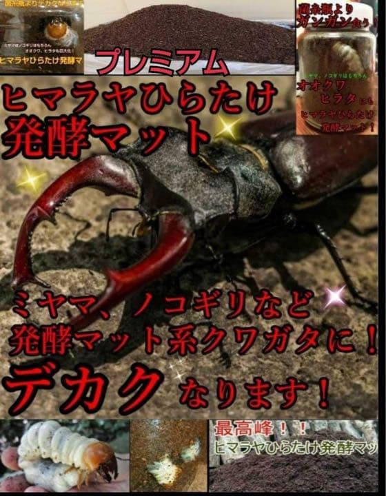 ミヤマクワガタ、ノコギリ幼虫に抜群！800mlボトル入プレミアム発酵マット30本