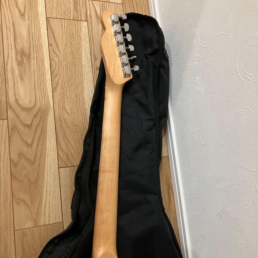 PLAYTECH（プレイテック）エレキギタ　カバーセット売り