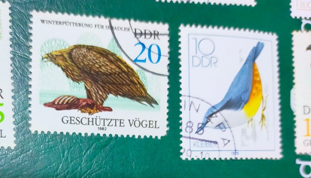 確認用！東ドイツ梟など鳥切手14種DDR貴重
