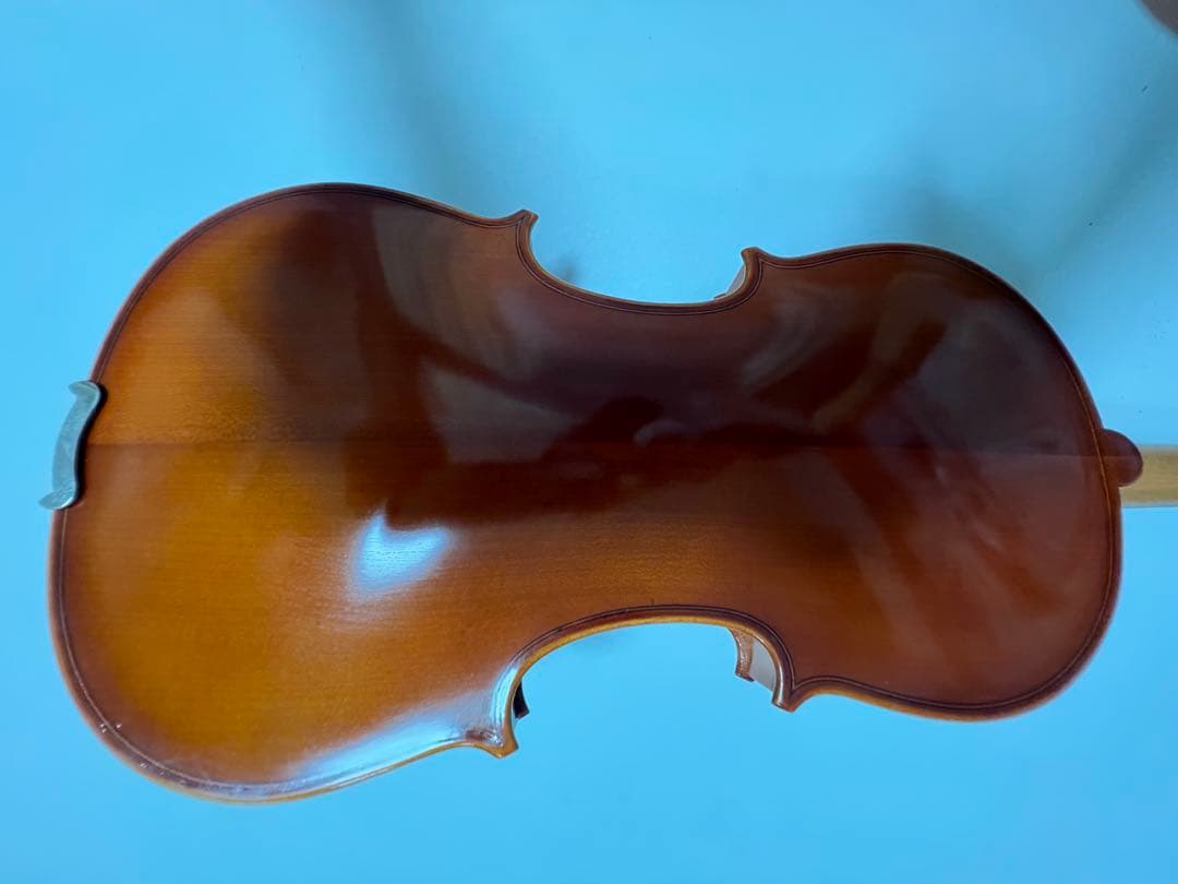 Eastman SVL80セット 4/4 バイオリン 初心者セット イーストマン