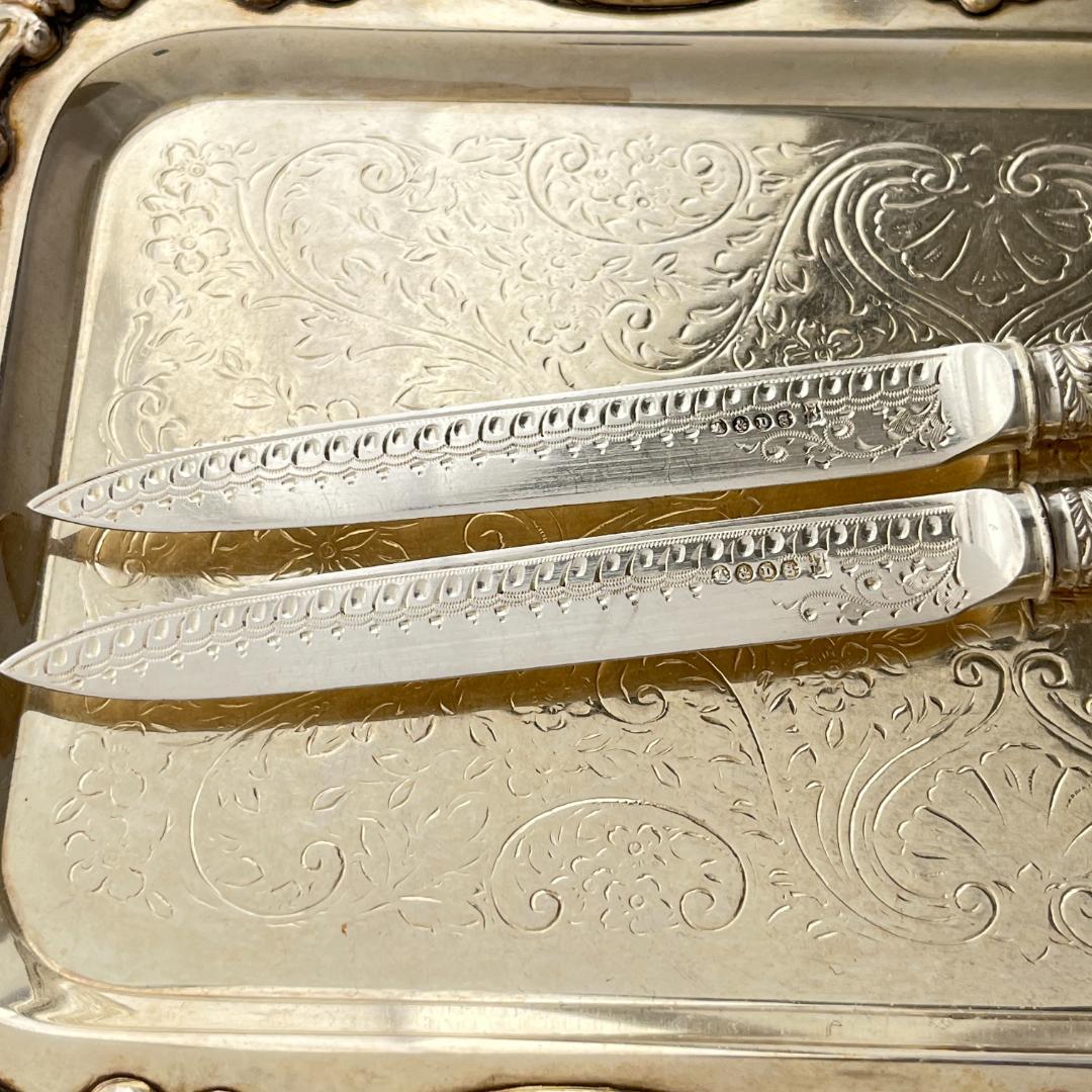 【 Allen & Darwin 】【白蝶貝】ビクトリアン デザート 4本