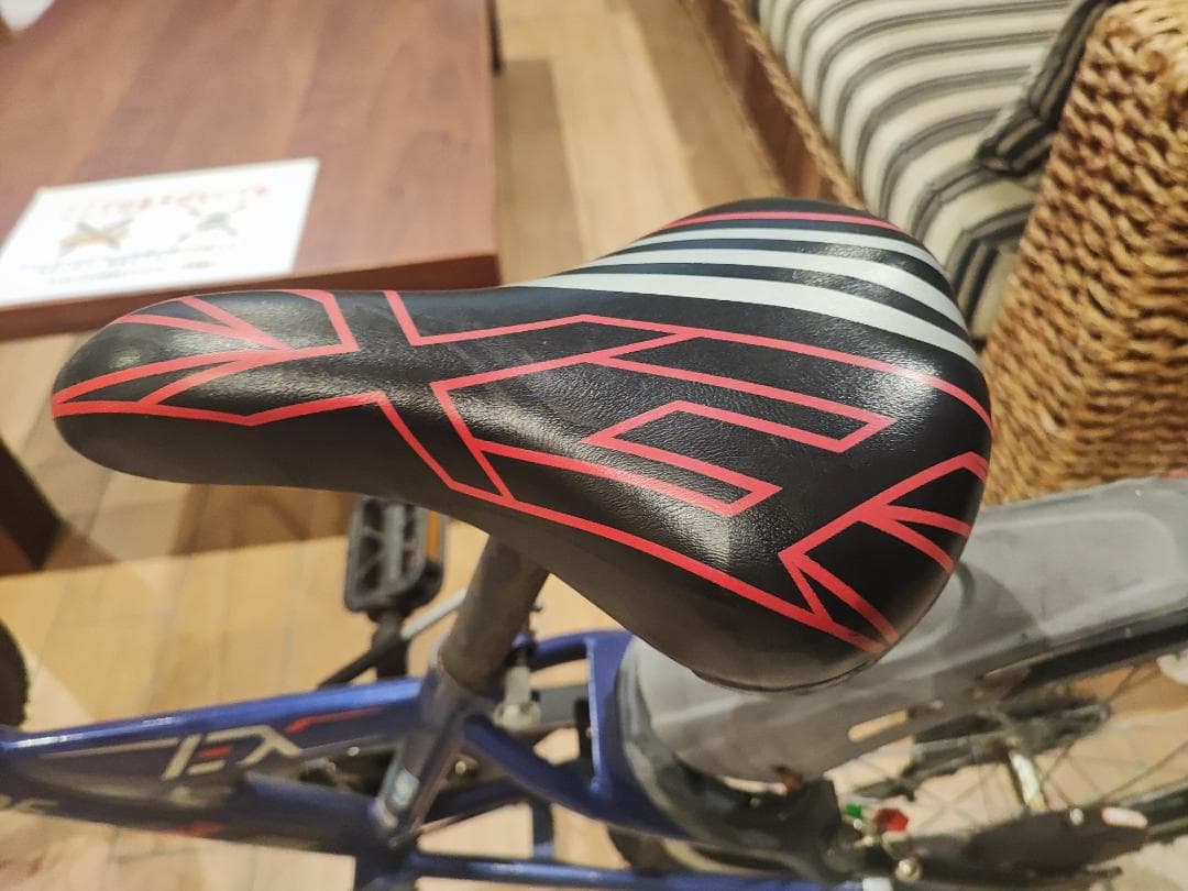 【引き取り限定】子ども用自転車　ブリジストン22インチ