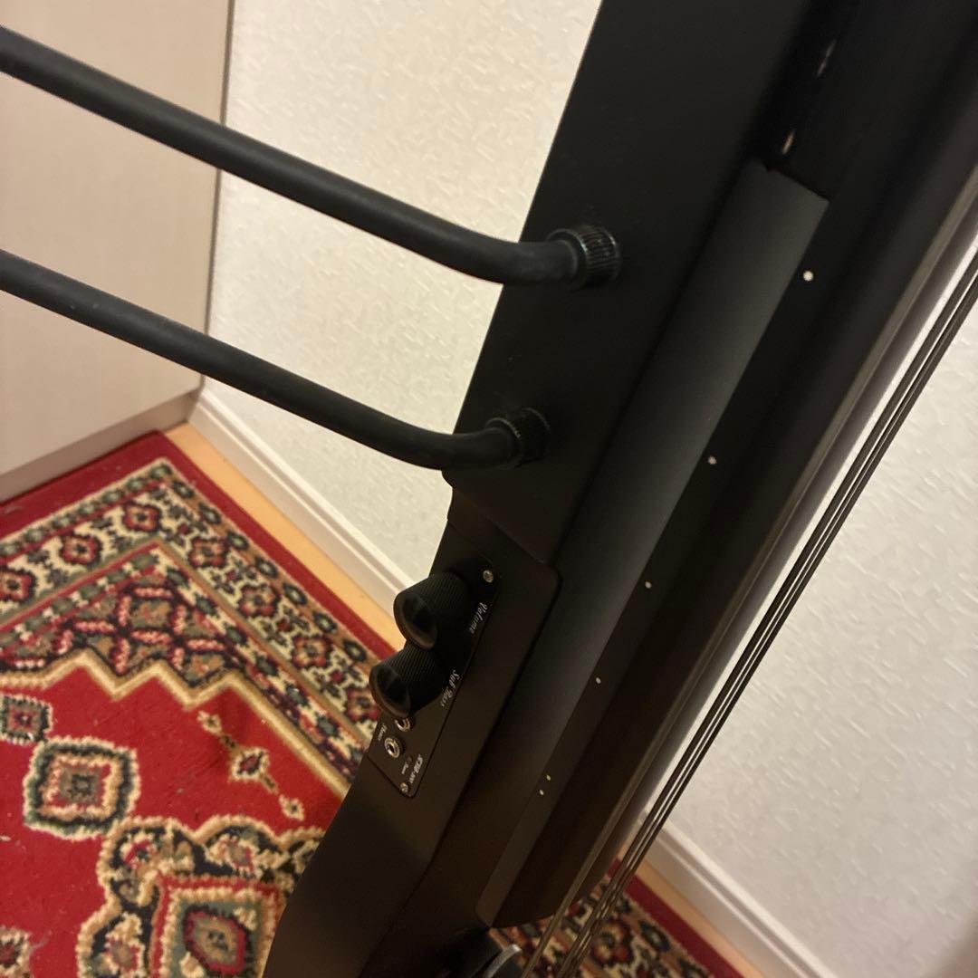 Hallstatt WBSE-850 アップライトベース、ケース付き