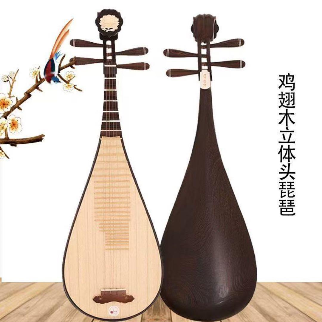 中国琵琶