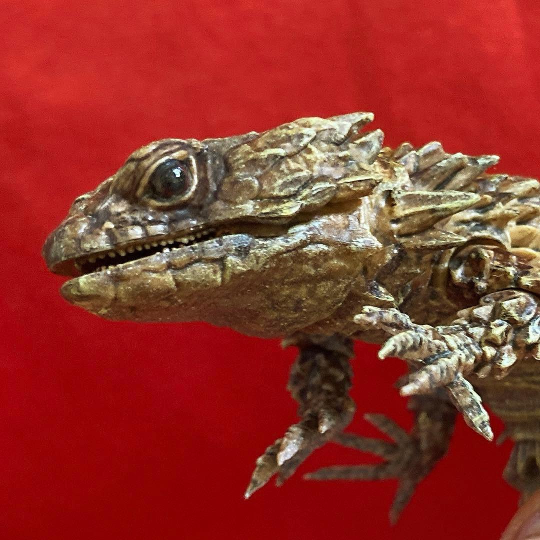 アルマジロトカゲ　リペイント品　だんごむし07 ガシャポンバンダイいきもの大図鑑