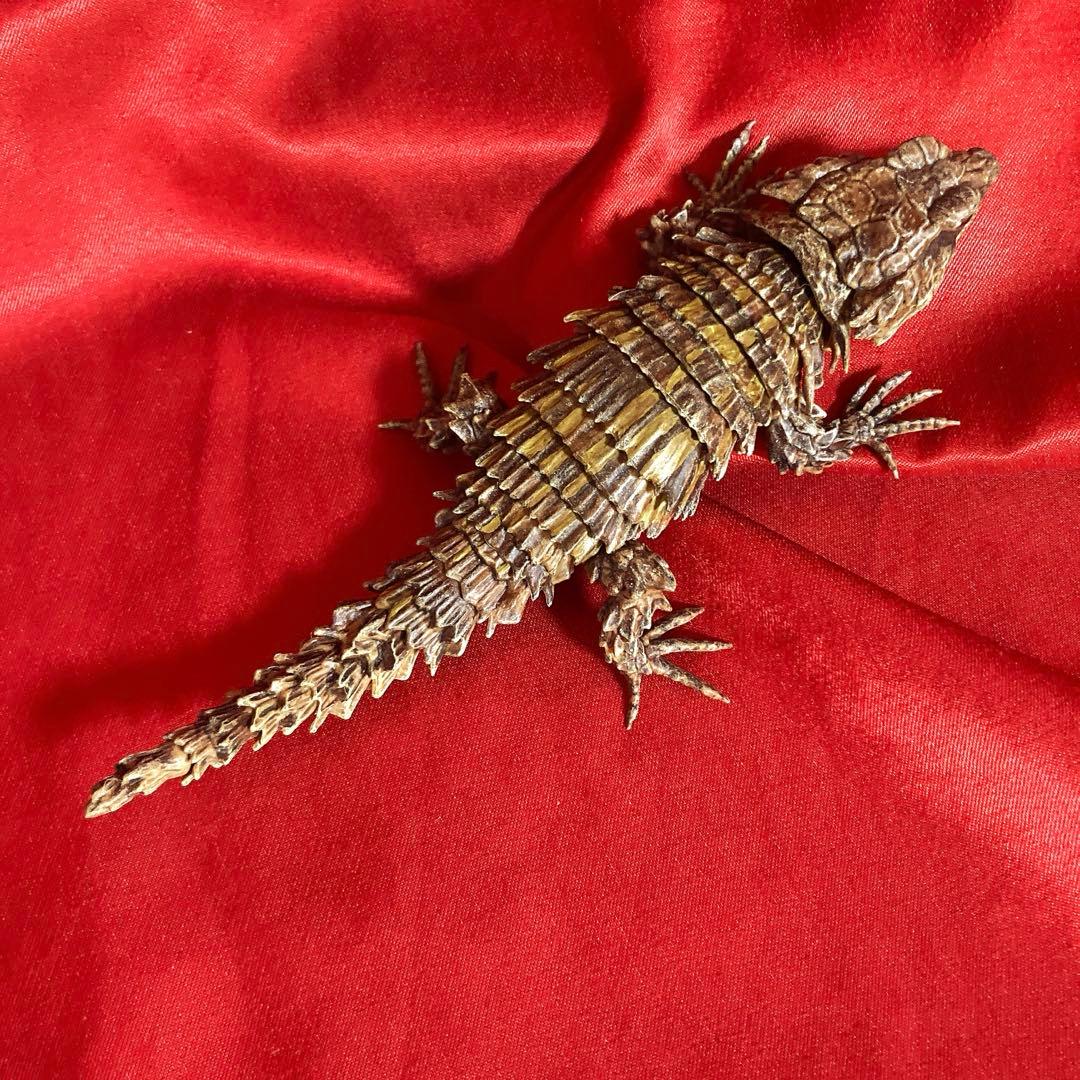 アルマジロトカゲ　リペイント品　だんごむし07 ガシャポンバンダイいきもの大図鑑