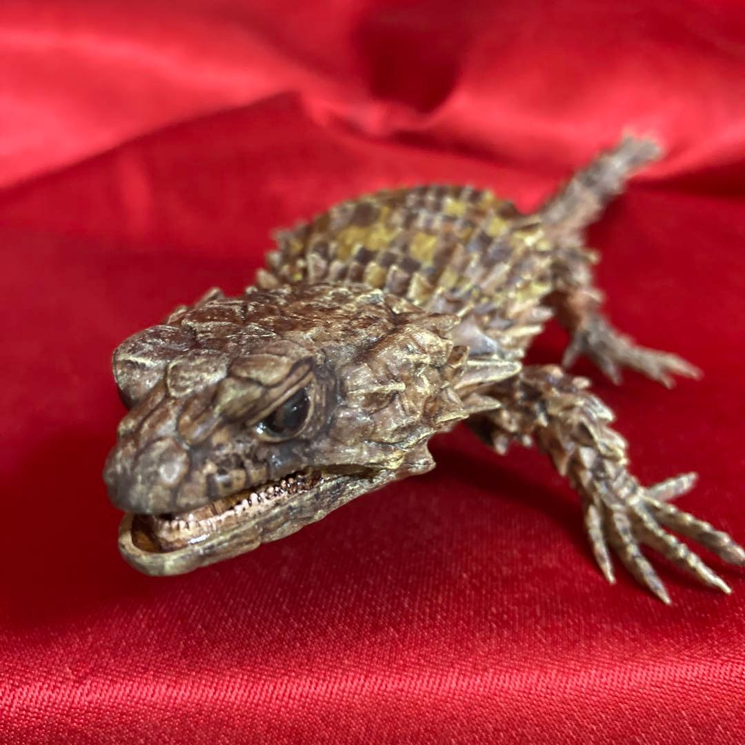 アルマジロトカゲ　リペイント品　だんごむし07 ガシャポンバンダイいきもの大図鑑