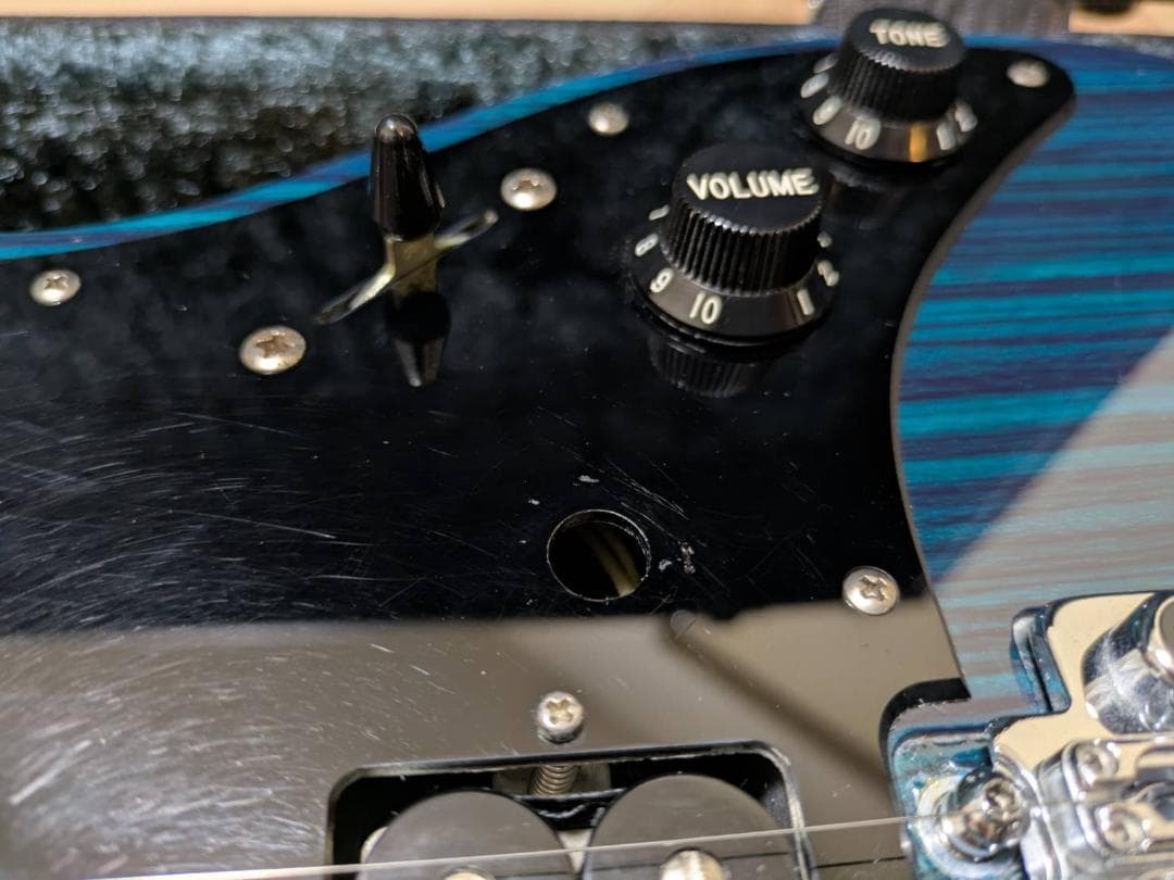 Fujigen Expert OS (EOS) ZW/R フジゲン エレキギター