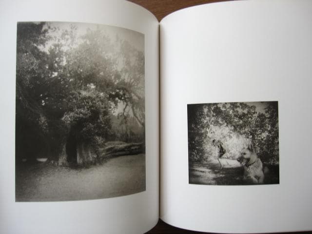 Sound of Summer Running　Raymond Meeks