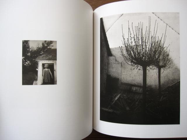 Sound of Summer Running　Raymond Meeks