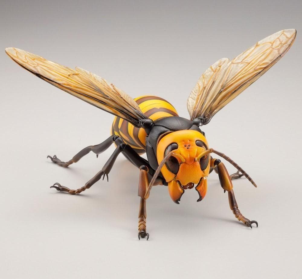 リボジオ／オオスズメバチ●海洋堂18cmリボルテック可動生物フィギュア松村しのぶ