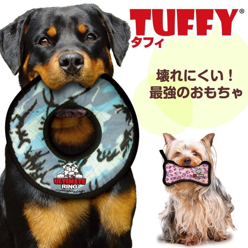 虎も遊ぶ丈夫なぬいぐるみタフィ　プテラノドンレギュラー