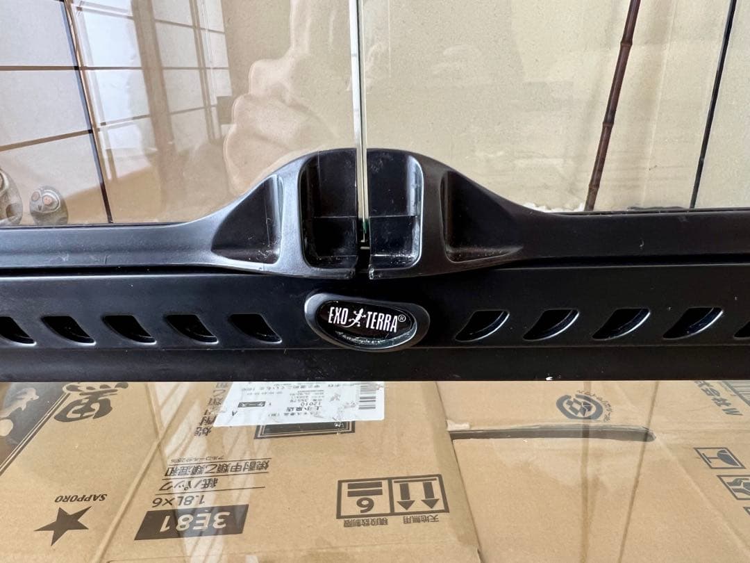 GEX EXOTERRA グラステラリウム6060