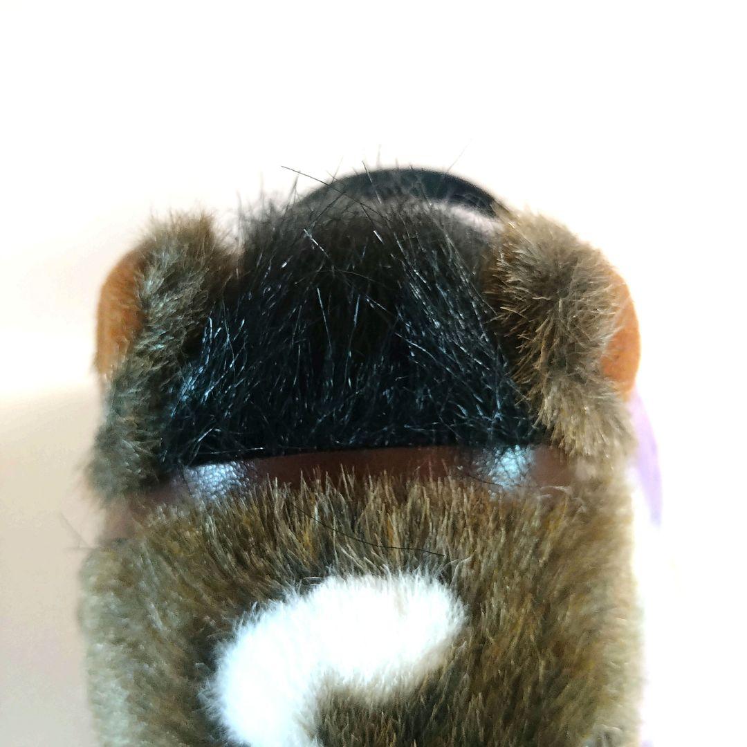 ★希少【AVANTI製】ディープインパクト馬服Sサイズ(タグ付き)