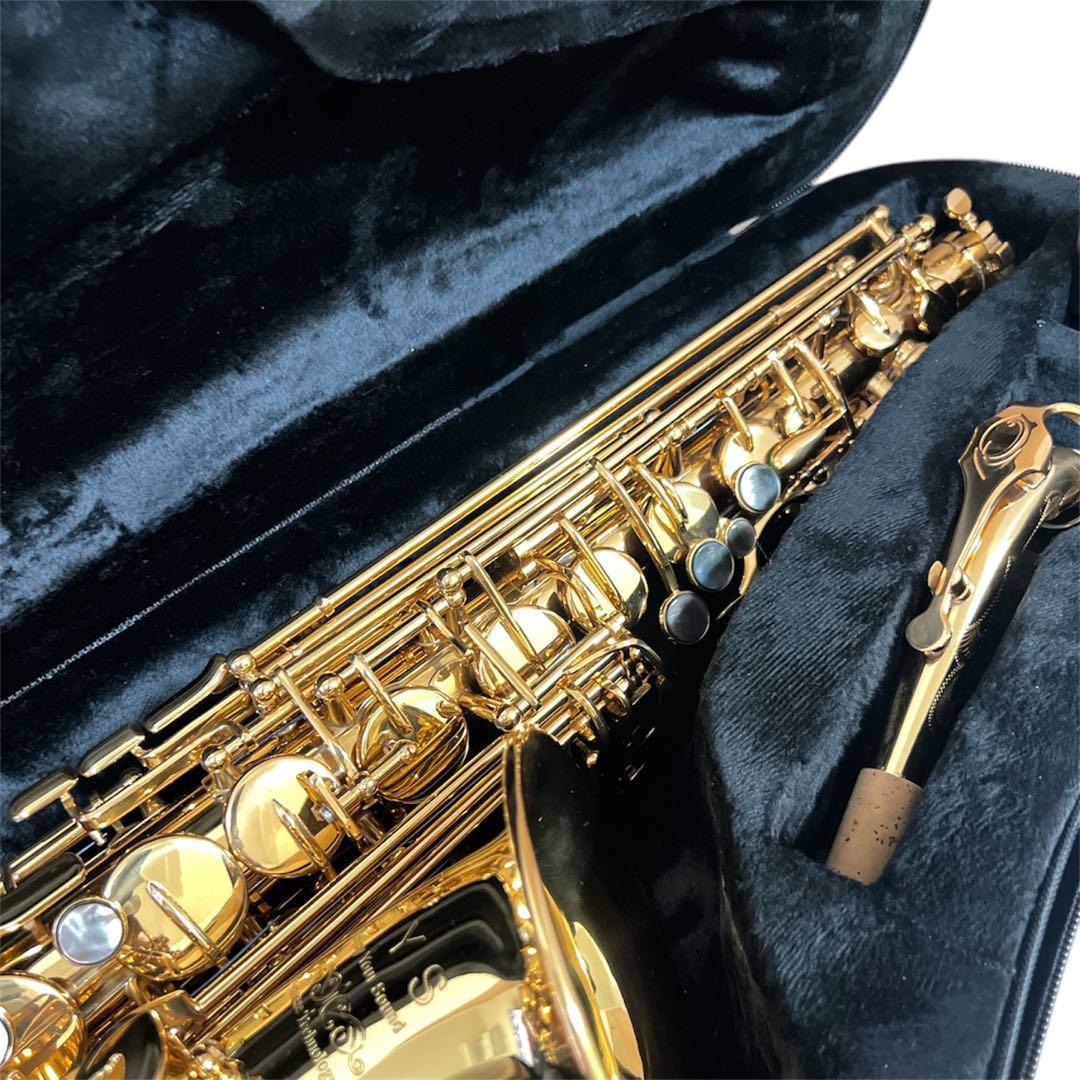 【極美品】EYS EAS-01 アルトサックス ケース ストラップ付き 日本製
