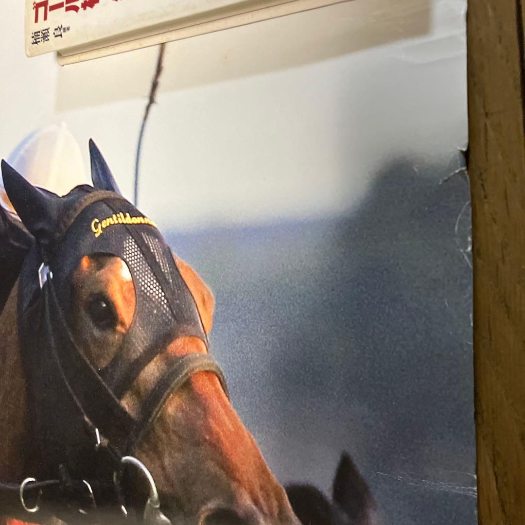 希少非売品ジェンティルドンナ 第33回ジャパンカップゴール/34回JRAポスター