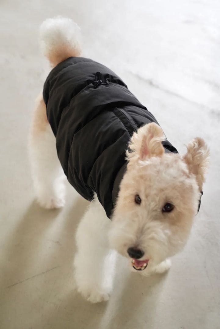 CushyCushy CUSHY PUFFER VEST ブラック サイズ8