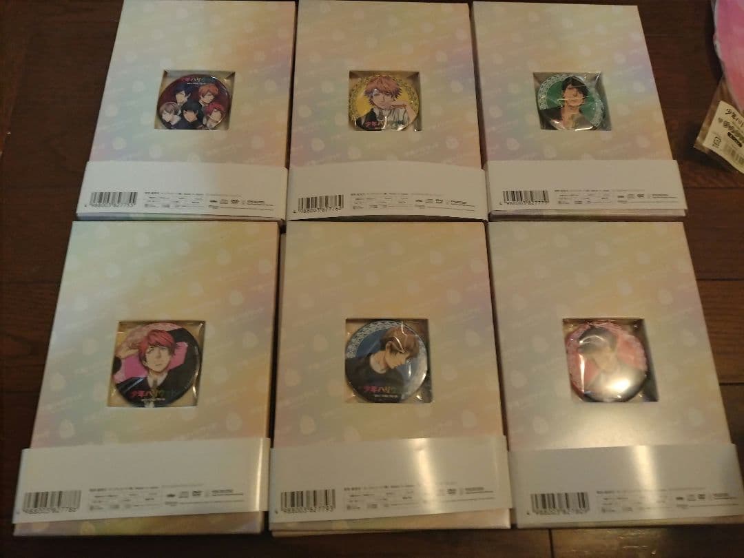 【初回製造版】少年ハリウッドDVD全巻セット(1.2期)