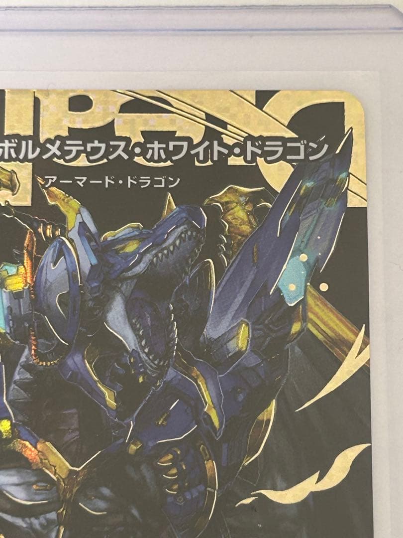 い*い様 ドリームボルメテウスホワイトドラゴン