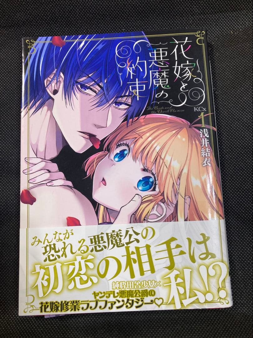 マンガ、漫画、全巻セット、まとめ売り 写真➕2（さよならミニスカート、銀狼陛下）