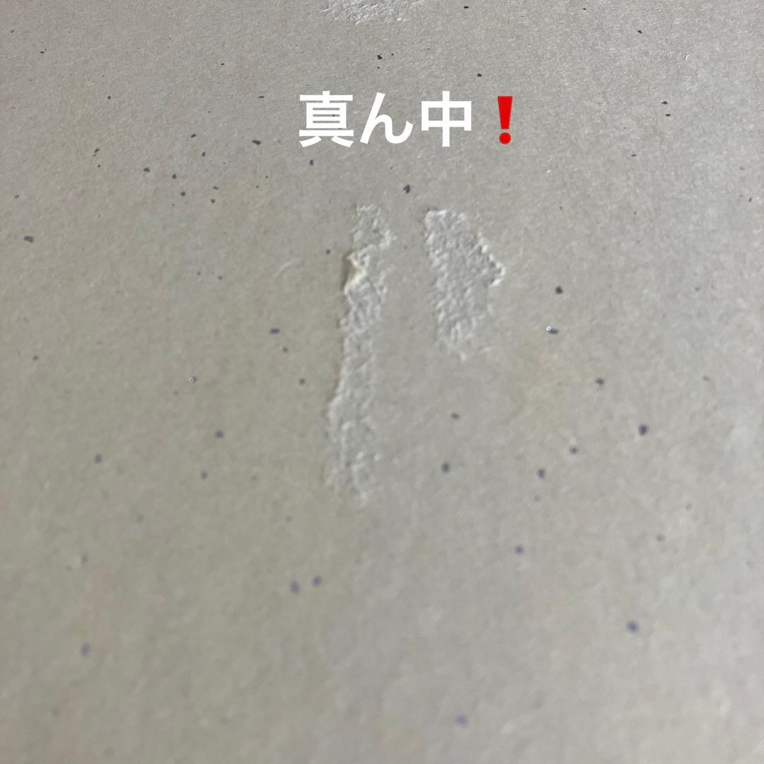 【プレミア価格】ヒカルの碁複製サイン色紙の裏面が薄っすら破け以外は美品のお宝品❗️