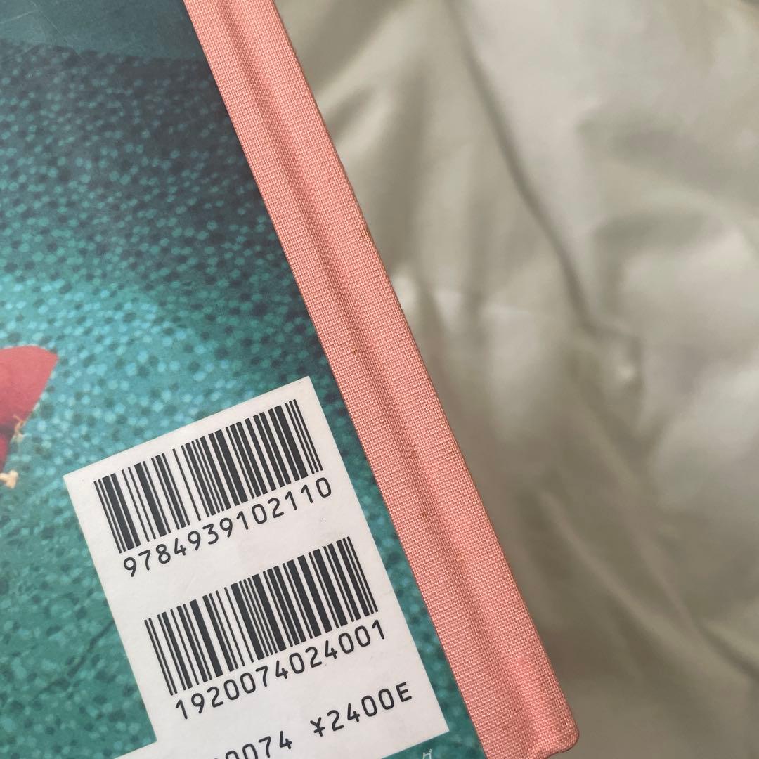 THE VIRGIN SUICIDES フォトブック　帯付き