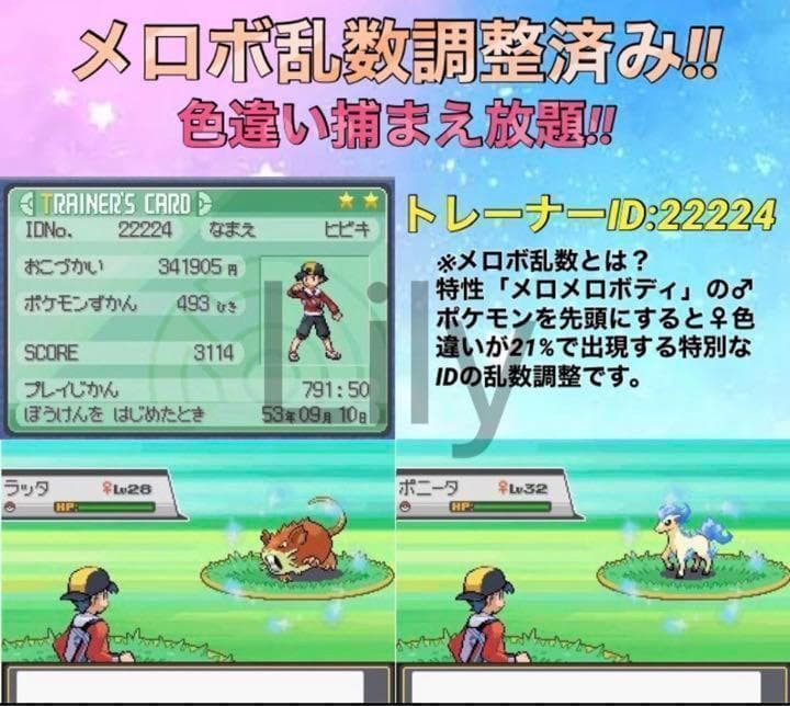 ポケットモンスター ソウルシルバー　ケースなし