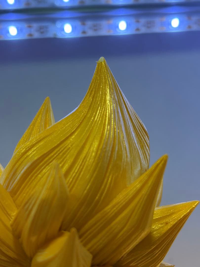 SMSP 超サイヤ人 孫悟空 ゼノバース2 コレクターズエディション 限定品