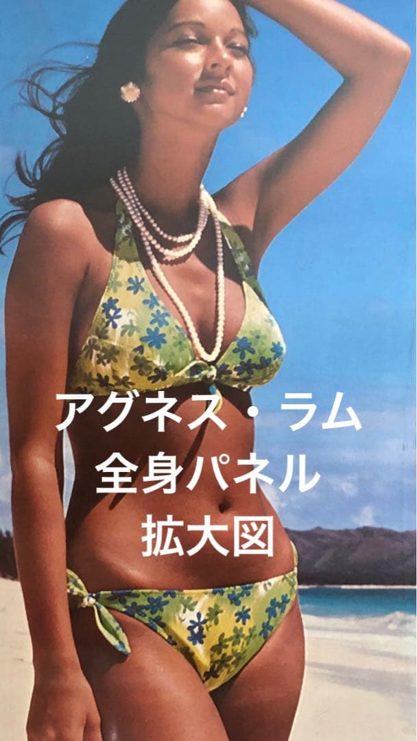 値下げ！景品つき！ついにでた！ハワイの女神アグネス・ラム全身パネル！初出品！