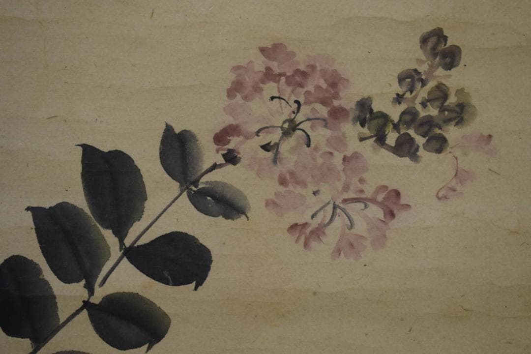 不詳/作者不詳/花図/布袋屋掛軸HJ-397