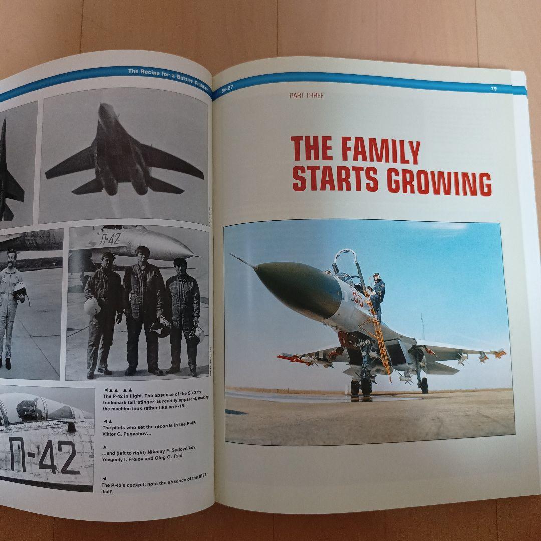 Sukhoi Su-27 スホーイ　スホイ　ロシア