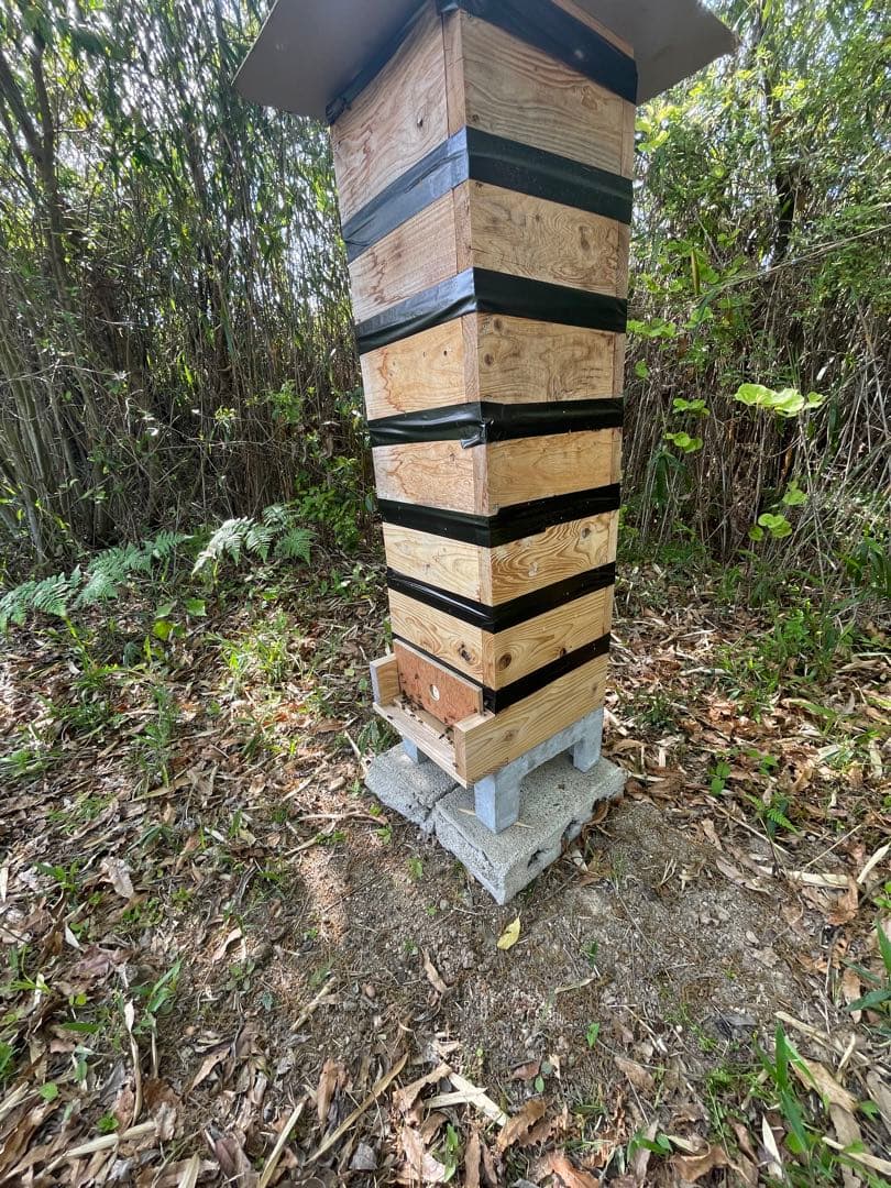 日本蜜蜂重箱式巣箱の継箱三箱！ハニーズハウス用！二セット！送料無料！