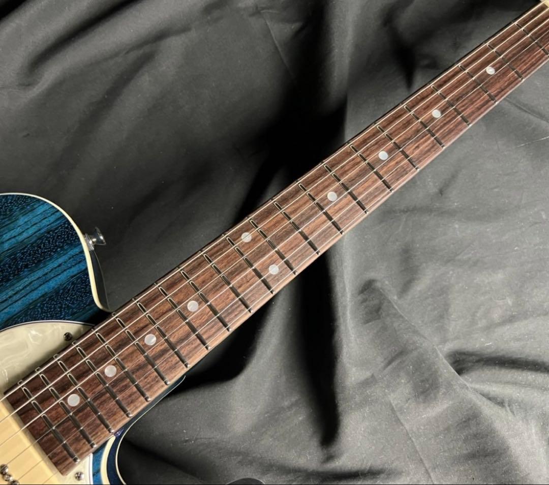 Freedom C.G.R テレキャスタータイプ/シンライン