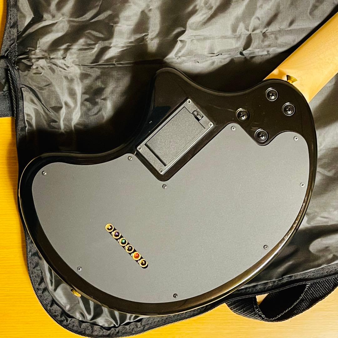 【廃盤品】FERNANDES PAINT-ZO hideコラボ ソフトケース付き