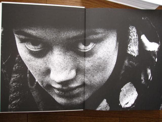 Niki De Saint Phalle　ニキ・ド・サンファル　カタログ　レゾネ