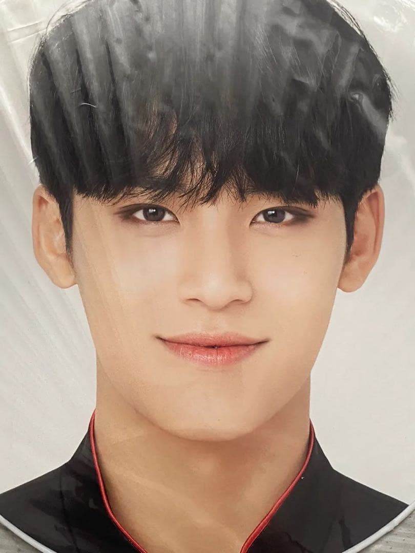 SEVENTEEN セブンティーン セブチ ミンギュ うちわ 団扇 セット