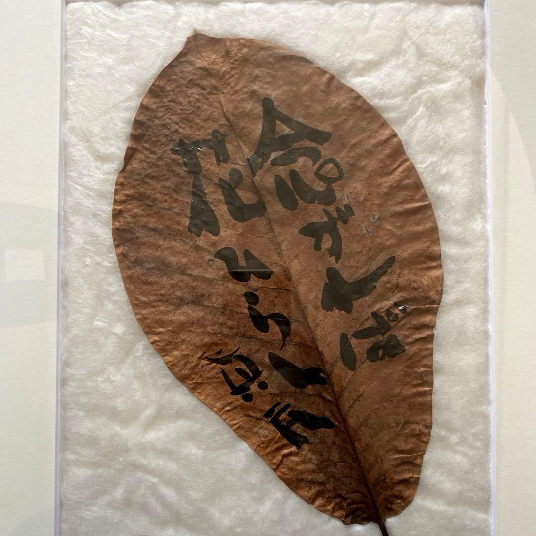 額装　坂村真民　念ずれば花ひらく　朴の葉　直筆
