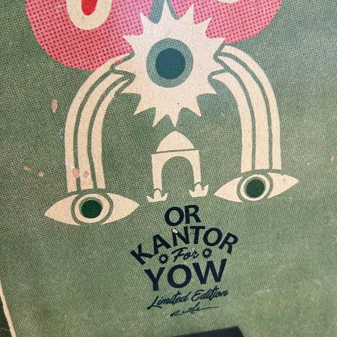 YOW artistseries limited edition サーフスケート