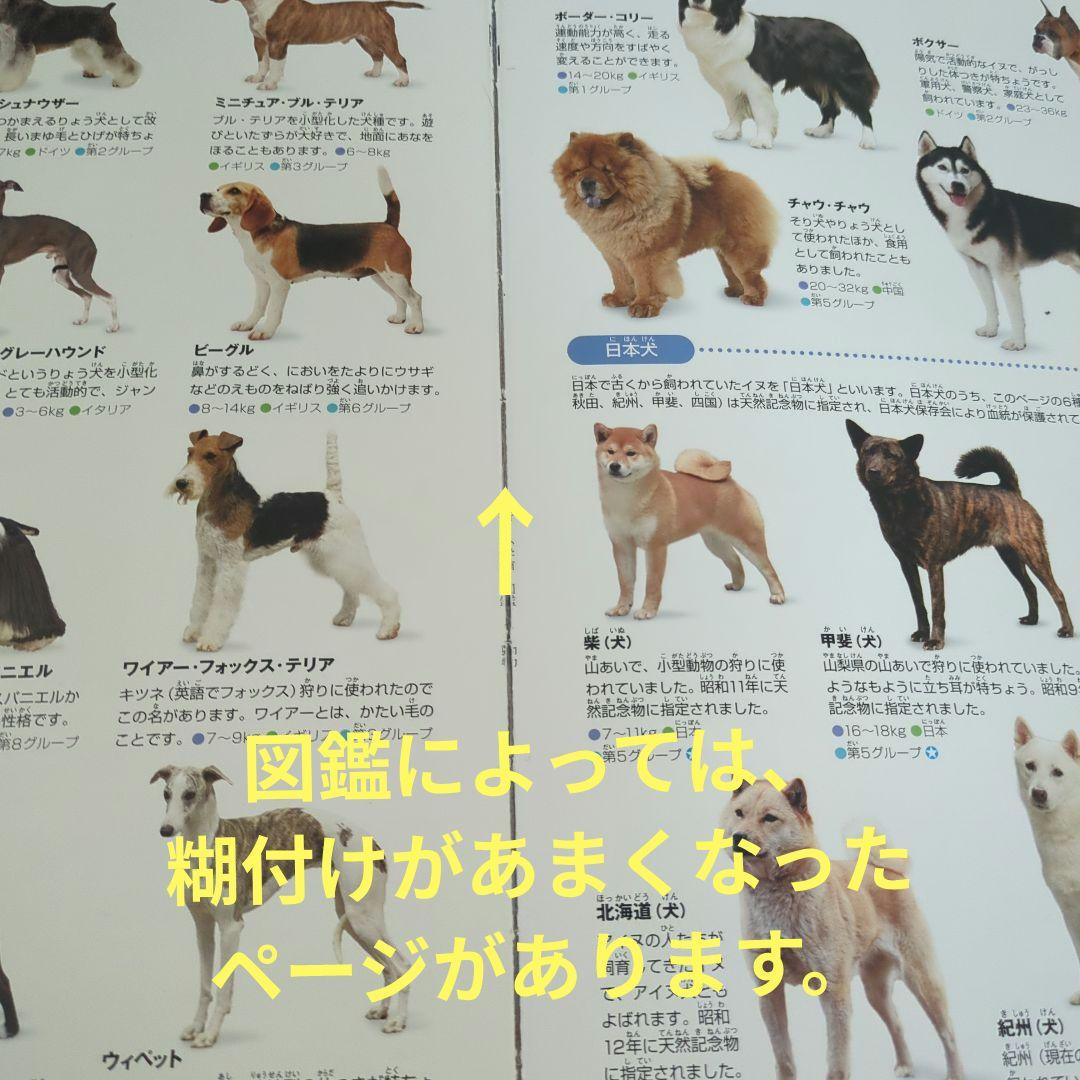 子供　図鑑NEO　図鑑MOVE　図鑑LIVE 16冊　DVD付き まとめ売り