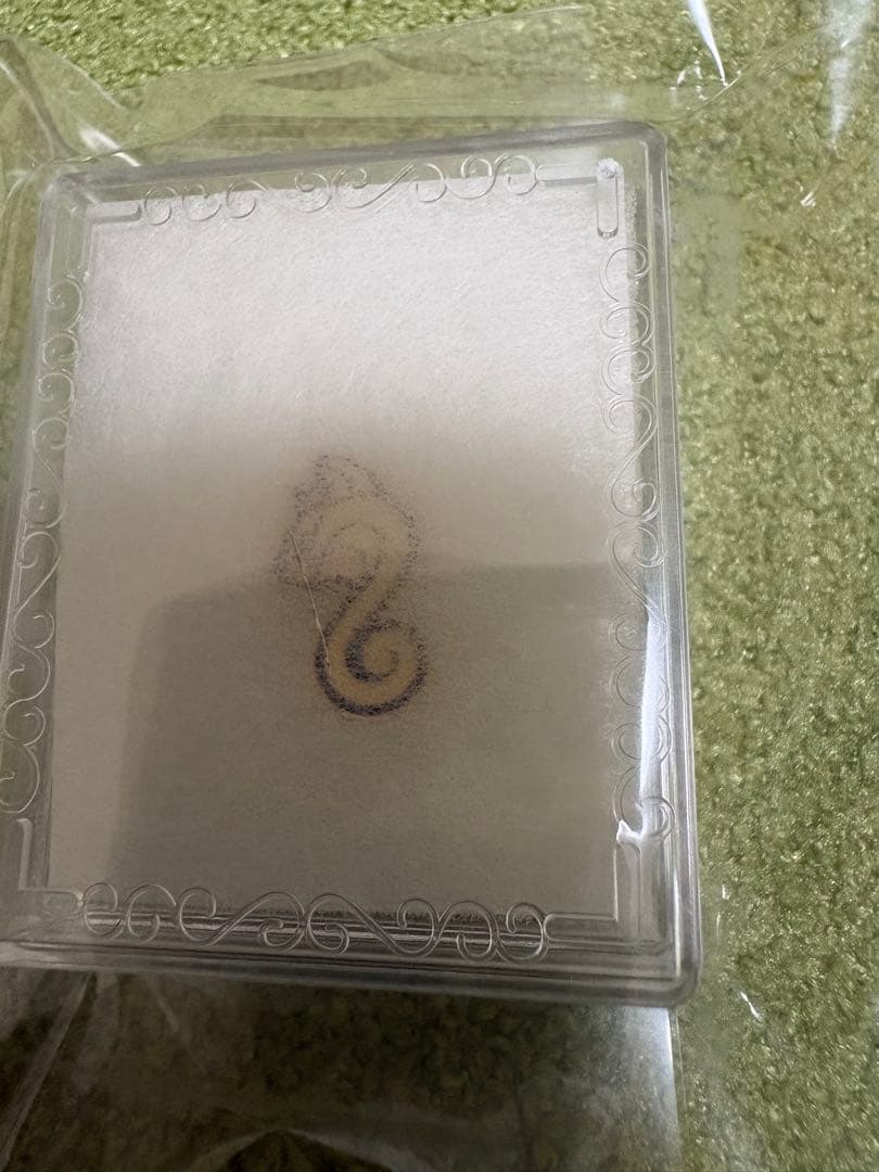 新政　頒布会　2017 ノベルティ