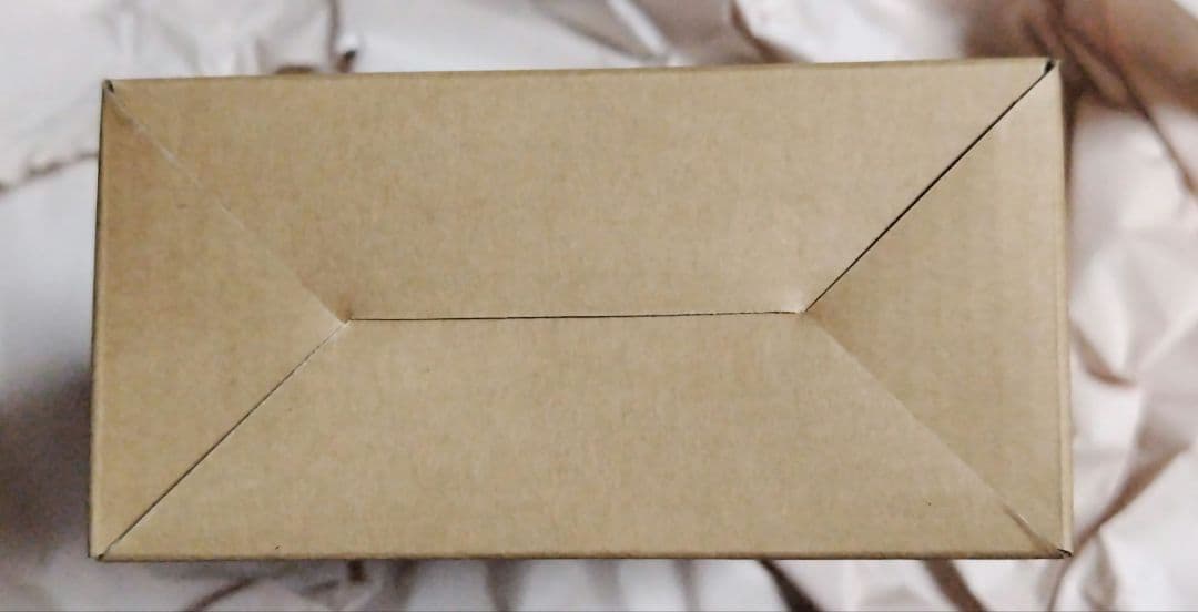 S.H.Figuarts　真骨彫製法　仮面ライダー1号（桜島Ver.）栄光の〜